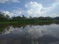 Les nuages se reflètent dans l'eau.