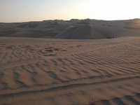 Des dunes, toujours des dunes.