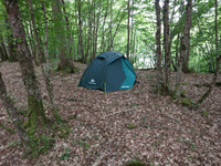 Notre tente au milieu des bois.
